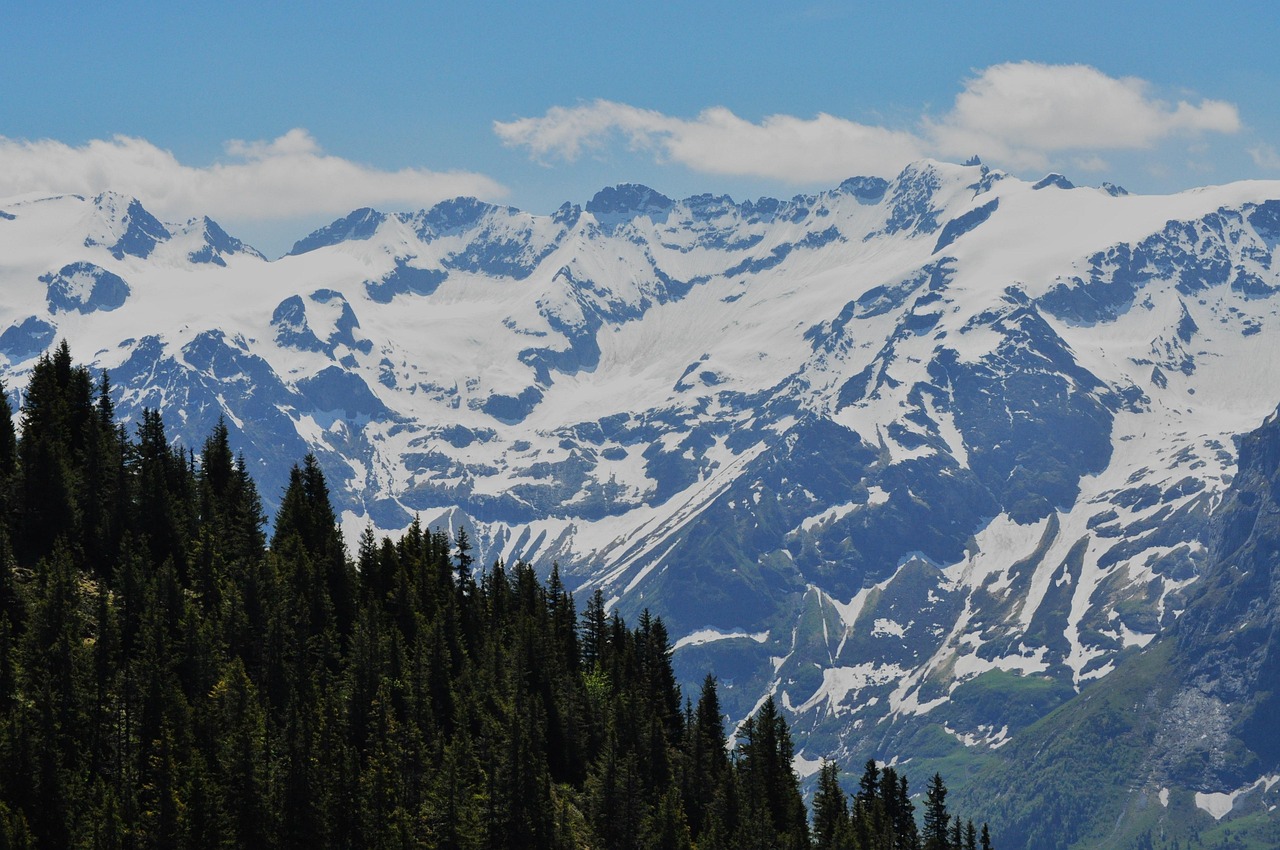 高山,高山汽车